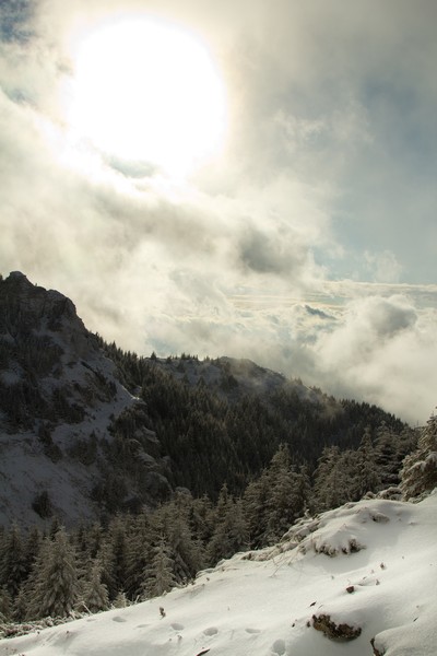 Ceahlau Stanile winter 2011