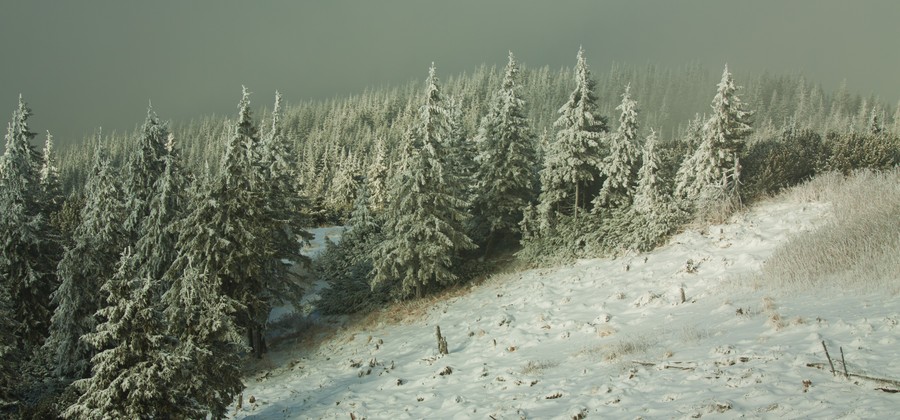 Ceahlau Stanile winter 2011