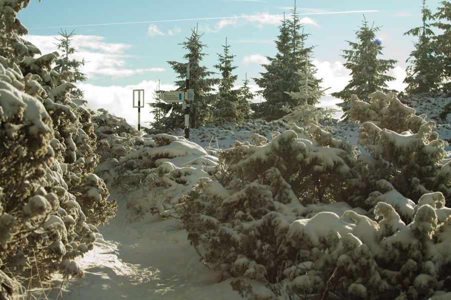 Ceahlau Stanile winter 2011