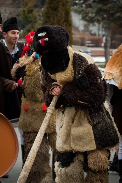 Steaua sus rasare Festival 2011