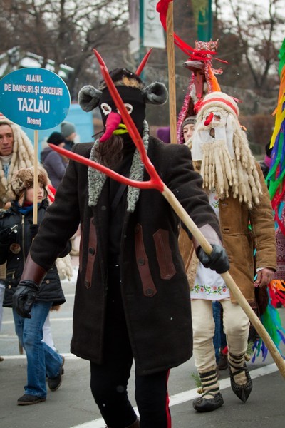 Steaua sus rasare Festival 2011