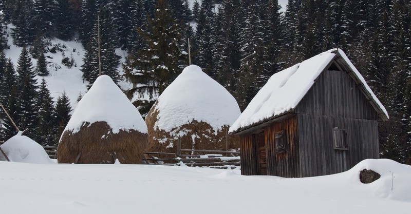 Traditional architecture Barnadu area