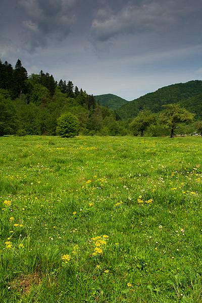 A trip to Nechit
