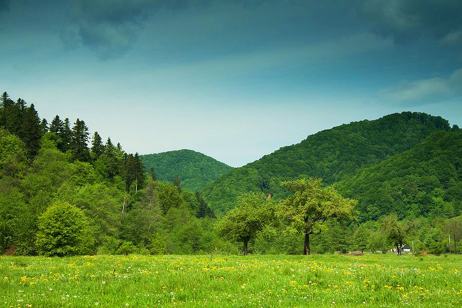 A trip to Nechit