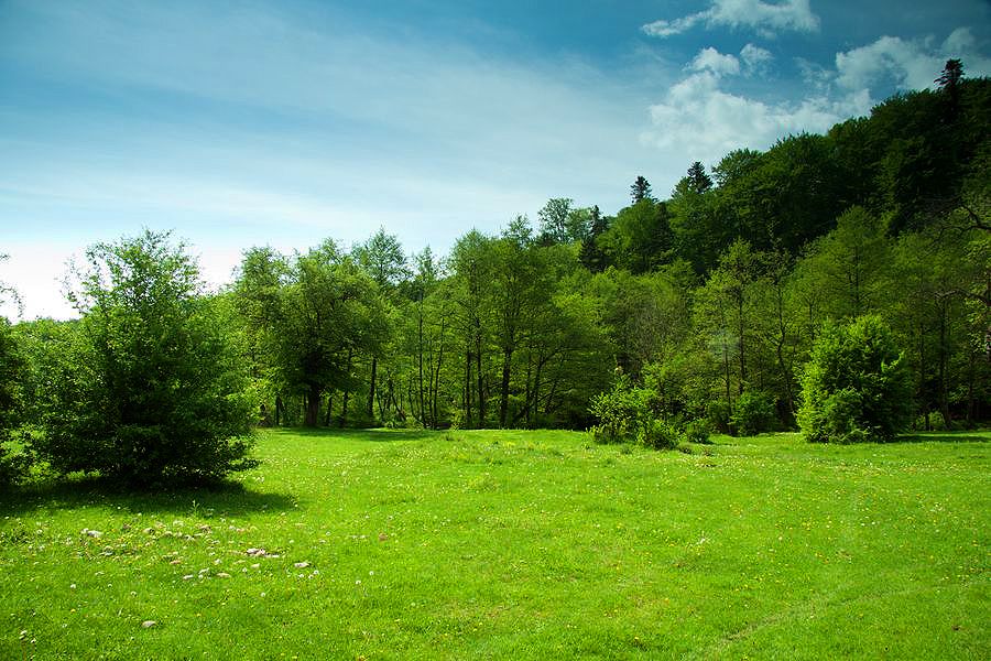 A trip to Nechit