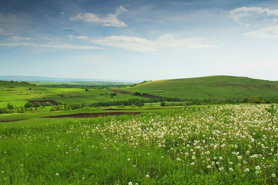 Visit Tazlau area