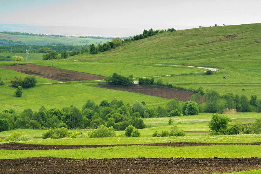 Visit Tazlau area