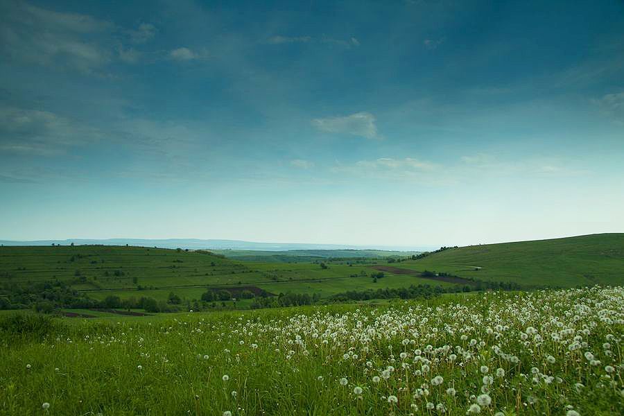 Visit Tazlau area