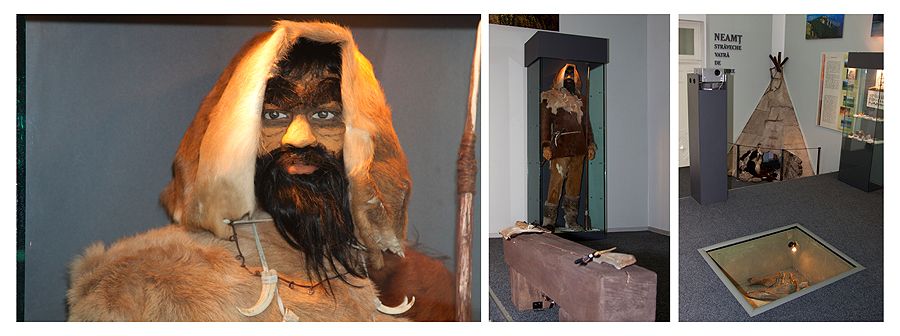 Visit museums from Piatra Neamt