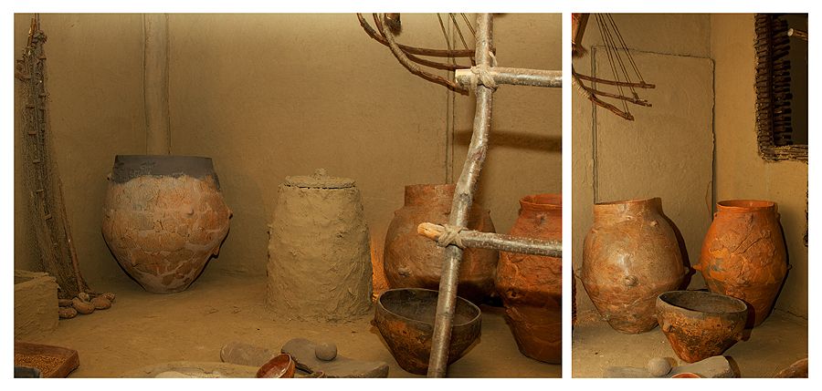 Visit museums from Piatra Neamt
