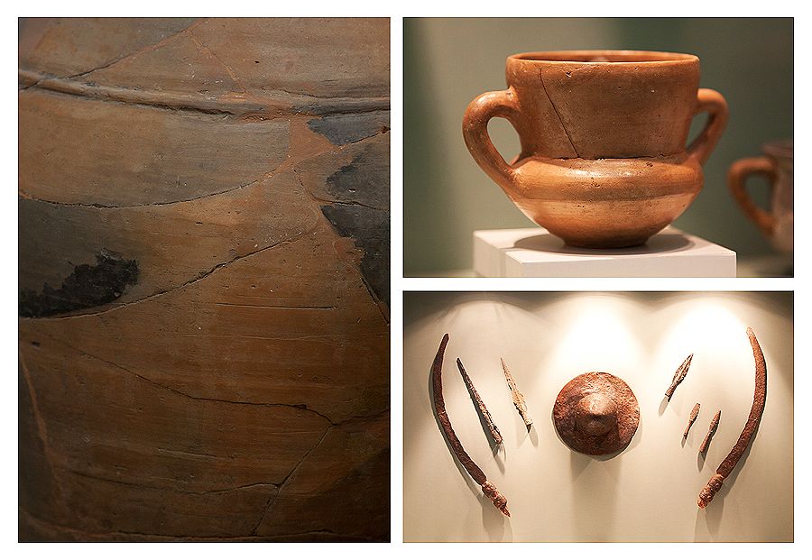 Visit museums from Piatra Neamt