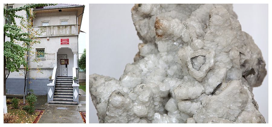 Visit museums from Piatra Neamt
