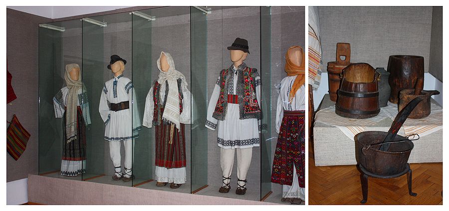 Visit museums from Piatra Neamt
