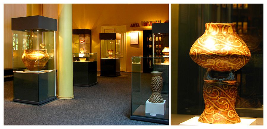 Visit museums from Piatra Neamt