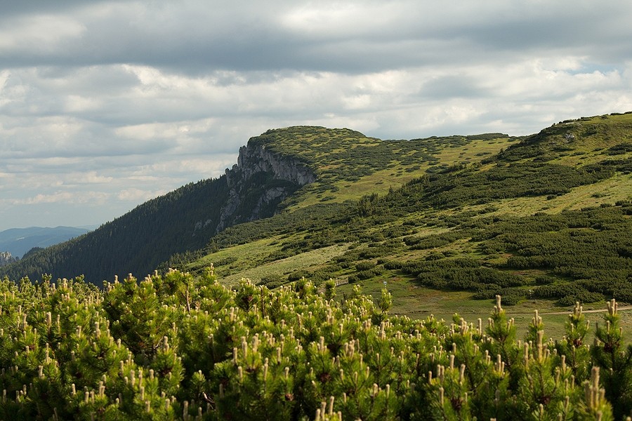 Ocolasul Mare area - Ceahlau