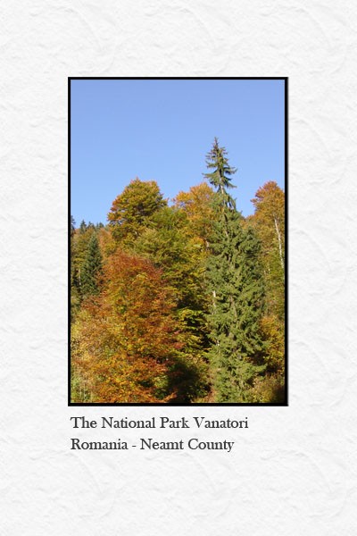 National Park Vanatori