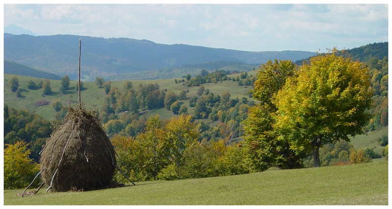 National Park Vanatori