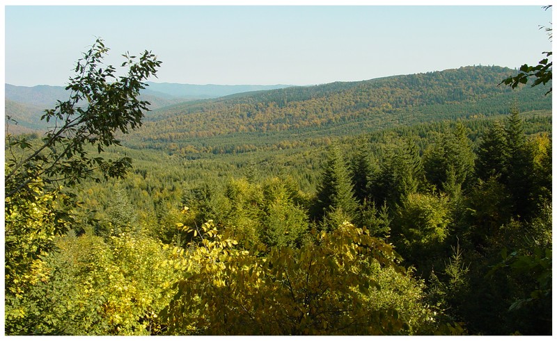 National Park Vanatori