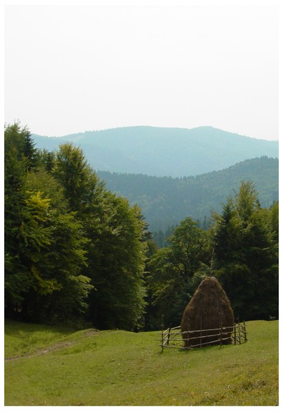 National Park Vanatori