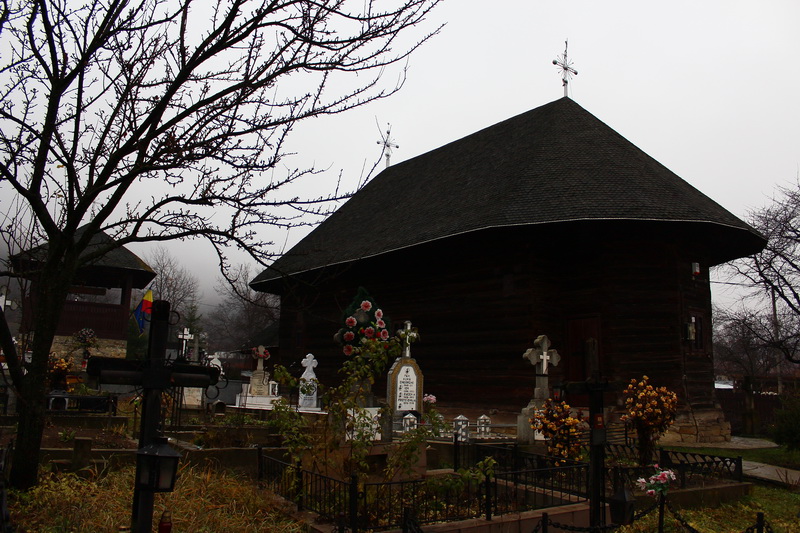 IMG_3354_resize