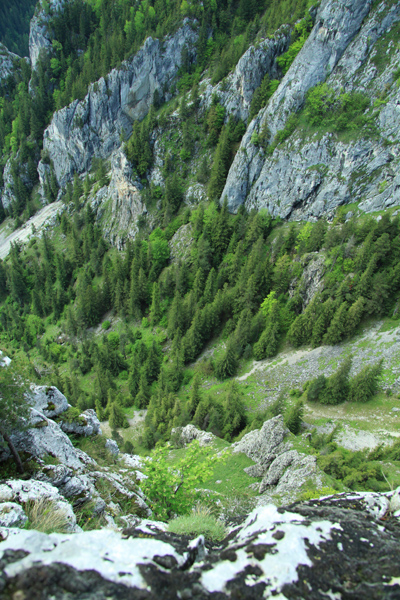 Pestera Munticelu - Munticelu Cave - Neamt County