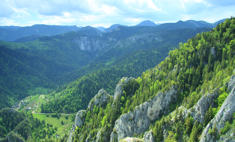 Pestera Munticelu - Munticelu Cave - Neamt County