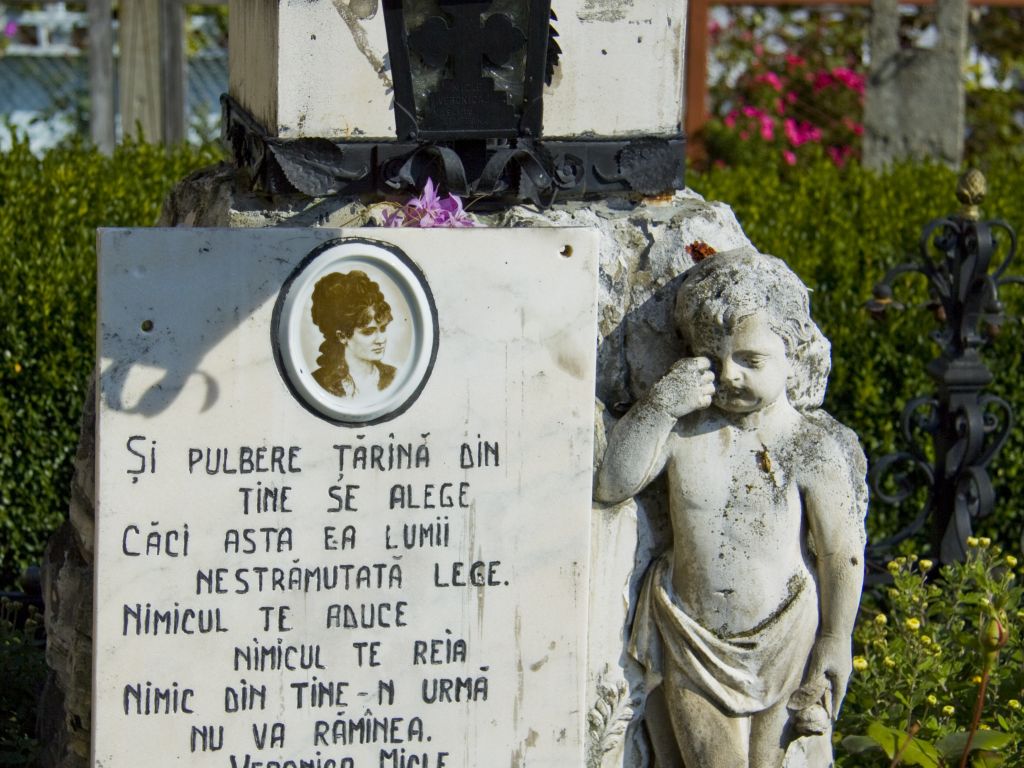 Veronica Micle Memorial House from Neamț County – fotografia 1