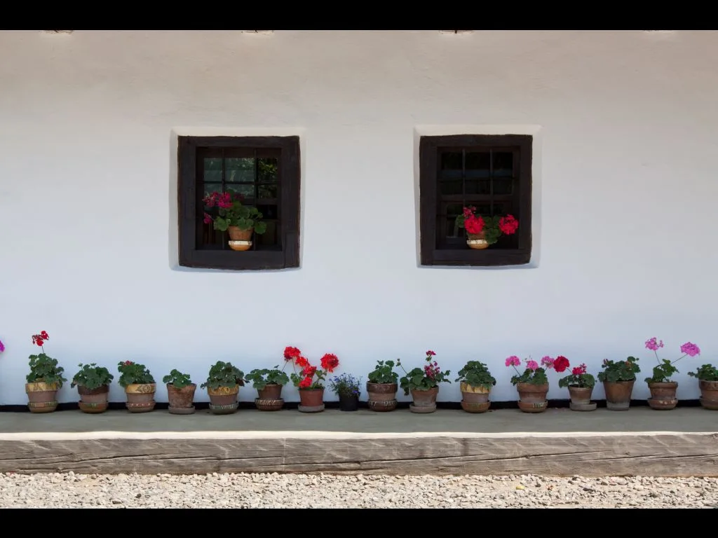 Ion Creangă Memorial Museum from Neamț County – photo 4