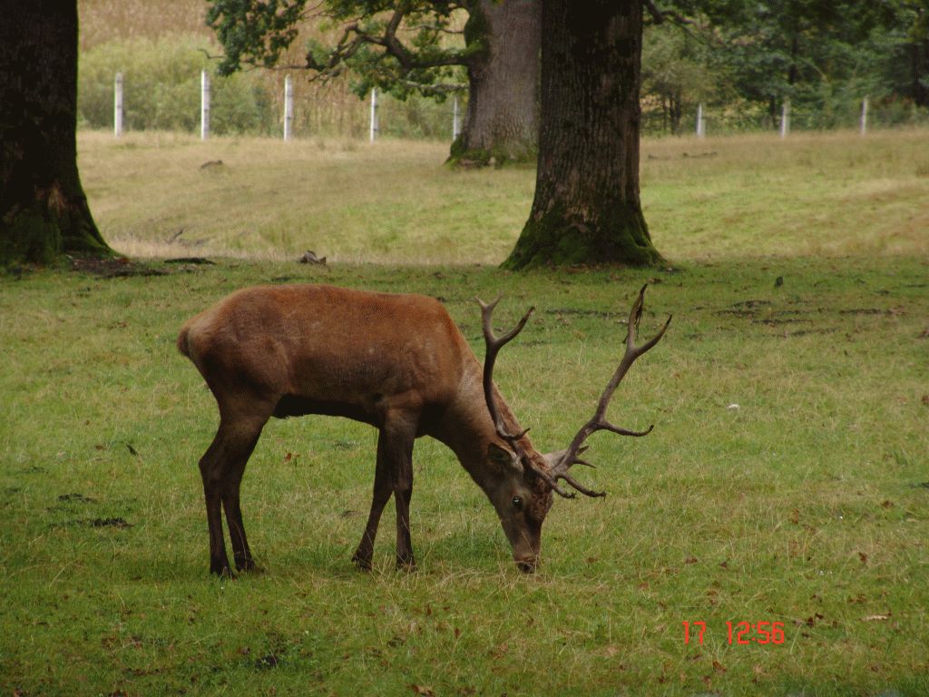 Vânători Neamț Nature Park, from Neamț County – photo 10