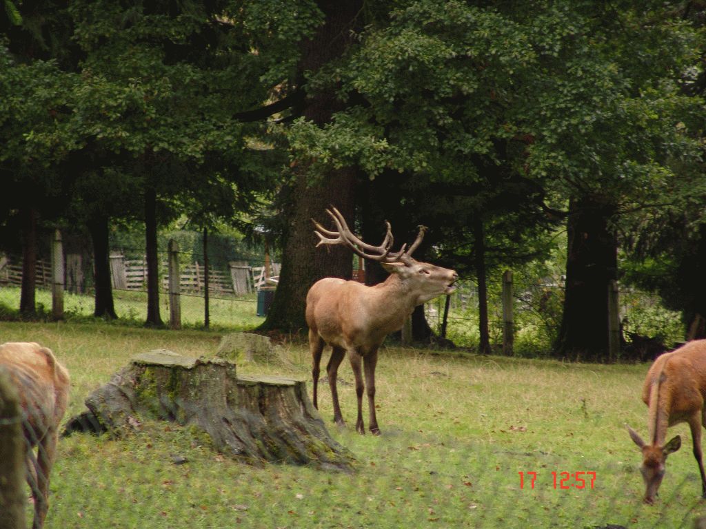 Vânători Neamț Nature Park, from Neamț County – photo 11