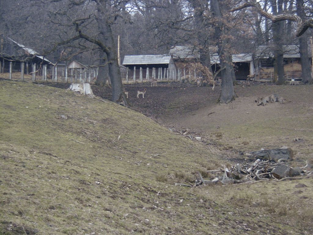 Vânători Neamț Nature Park, from Neamț County – photo 14