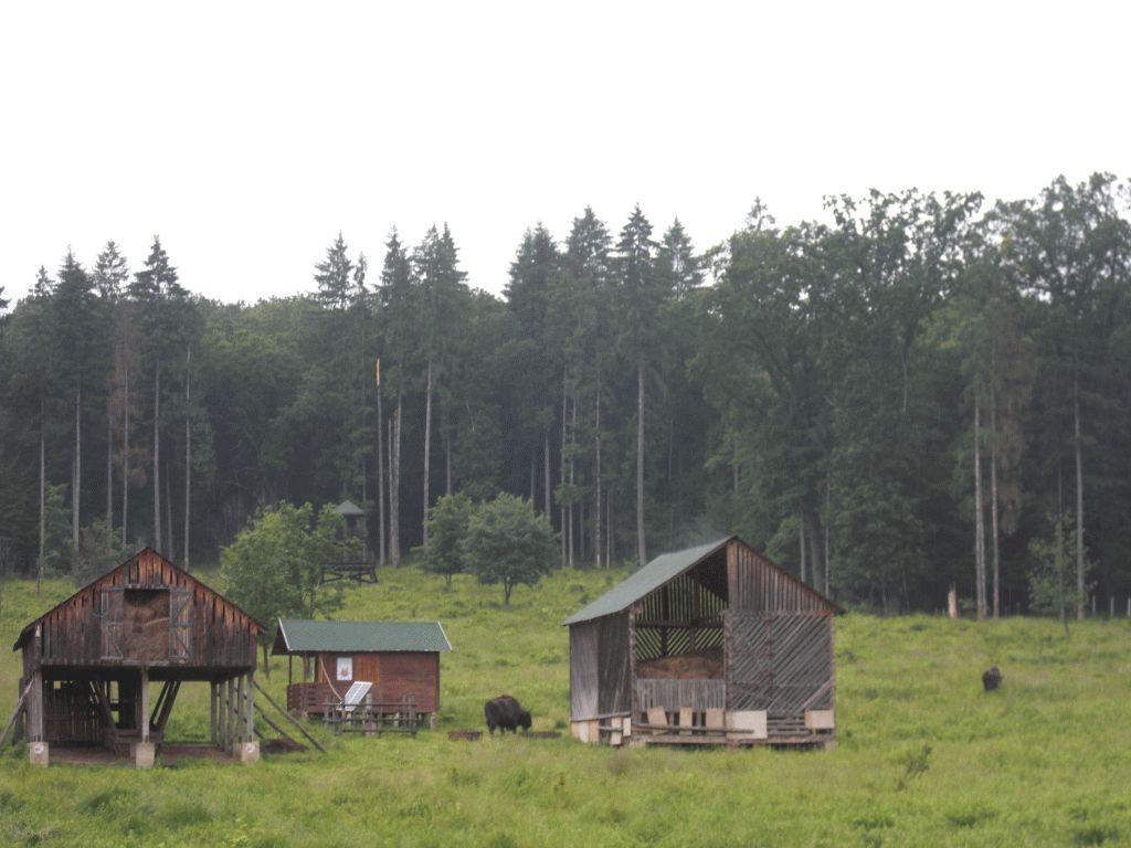 Vânători Neamț Nature Park, from Neamț County – photo 18