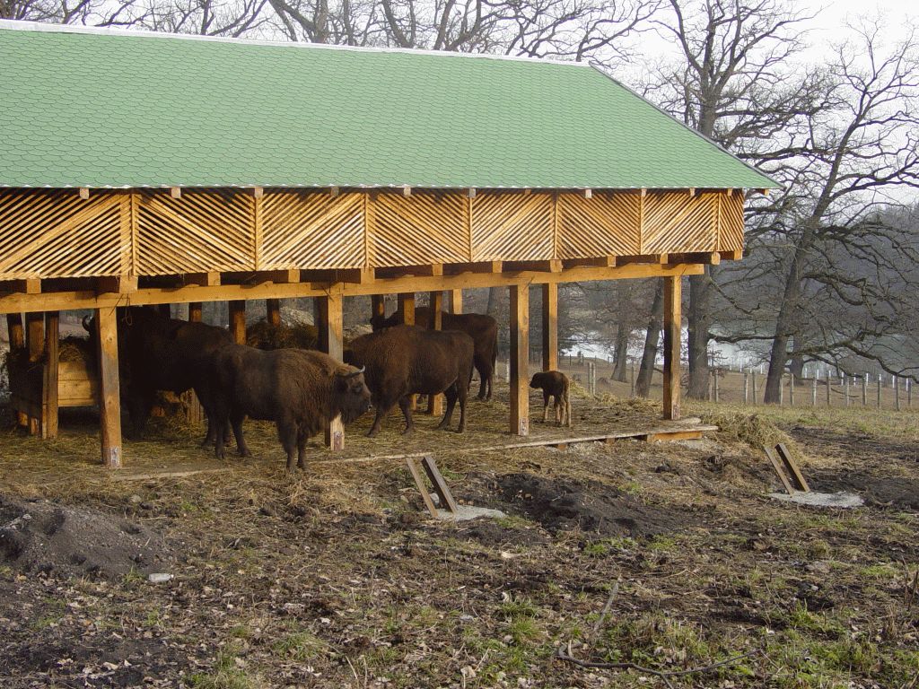 Vânători Neamț Nature Park, from Neamț County – photo 19