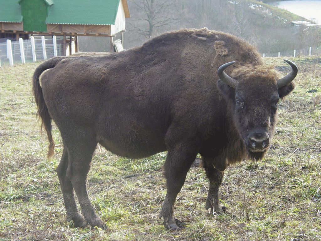 Vânători Neamț Nature Park, from Neamț County – photo 23