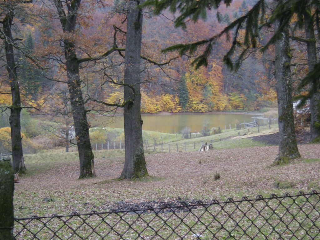 Vânători Neamț Nature Park, from Neamț County – photo 3