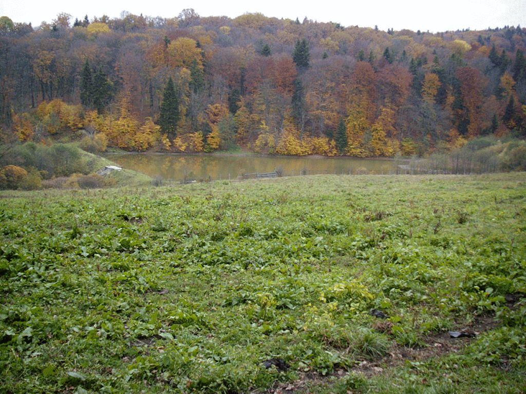 Vânători Neamț Nature Park, from Neamț County – photo 4