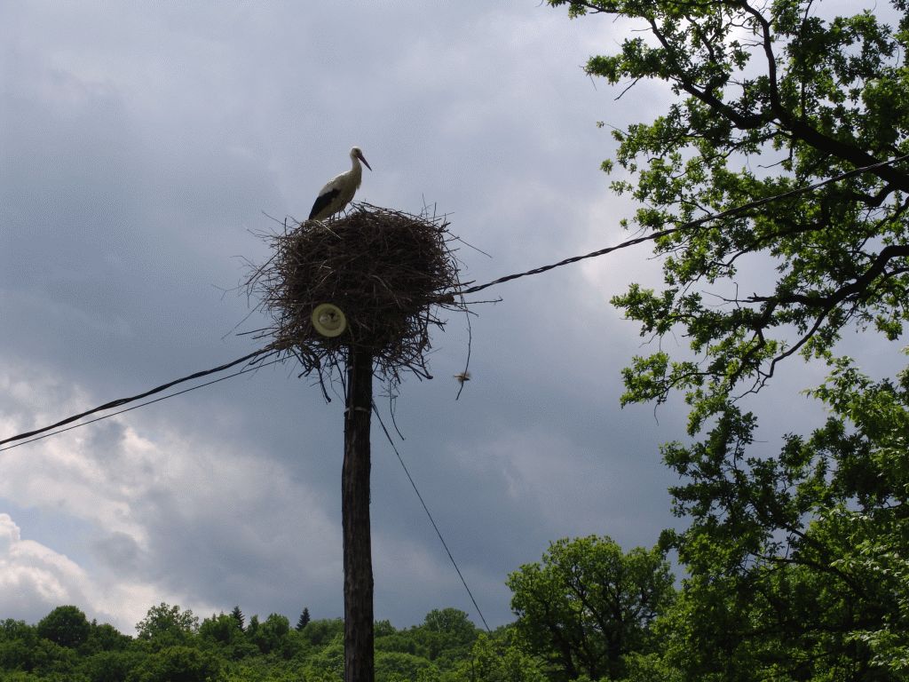 Vânători Neamț Nature Park, from Neamț County – photo 5