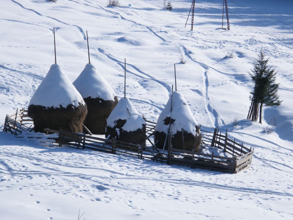 Ceahlău National Park, from Neamț County – fotografia 13