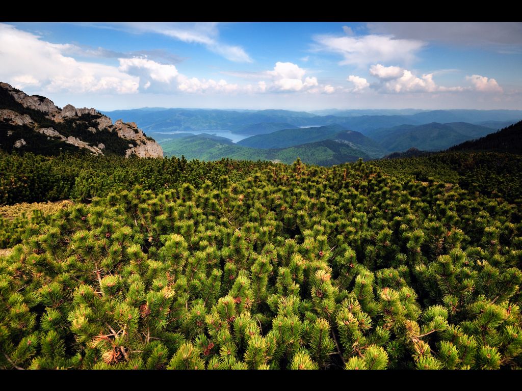Ceahlău National Park, from Neamț County – fotografia 2