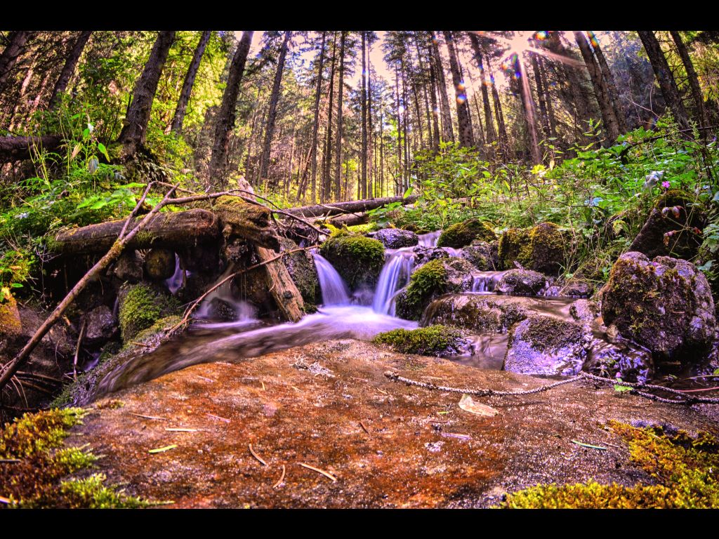 Ceahlău National Park, from Neamț County – fotografia 5