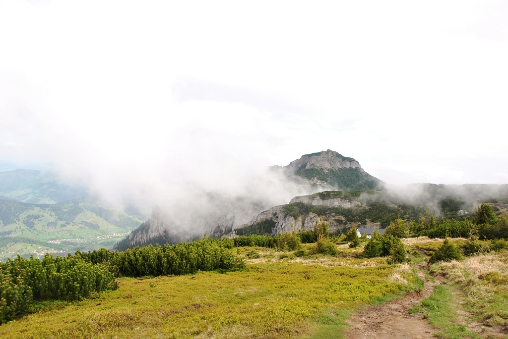 Ceahlău Mountain Festival – 44th edition: 4th-5th of August 2018 – photo 26
