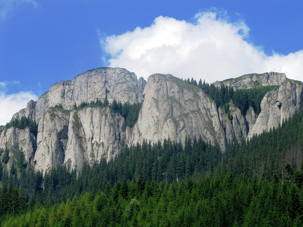 Ceahlău Mountain Festival – 44th edition: 4th-5th of August 2018 – photo 20