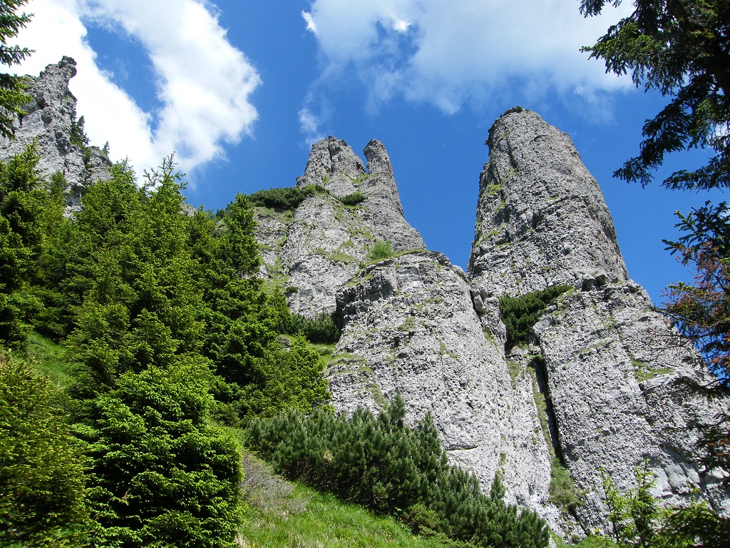 Ceahlău Mountain Festival – 44th edition: 4th-5th of August 2018 – photo 21