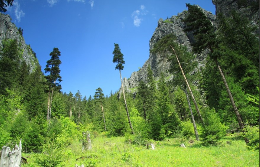 A wonder of nature and an unforgettable adventure in Neamț County – fotografia 7