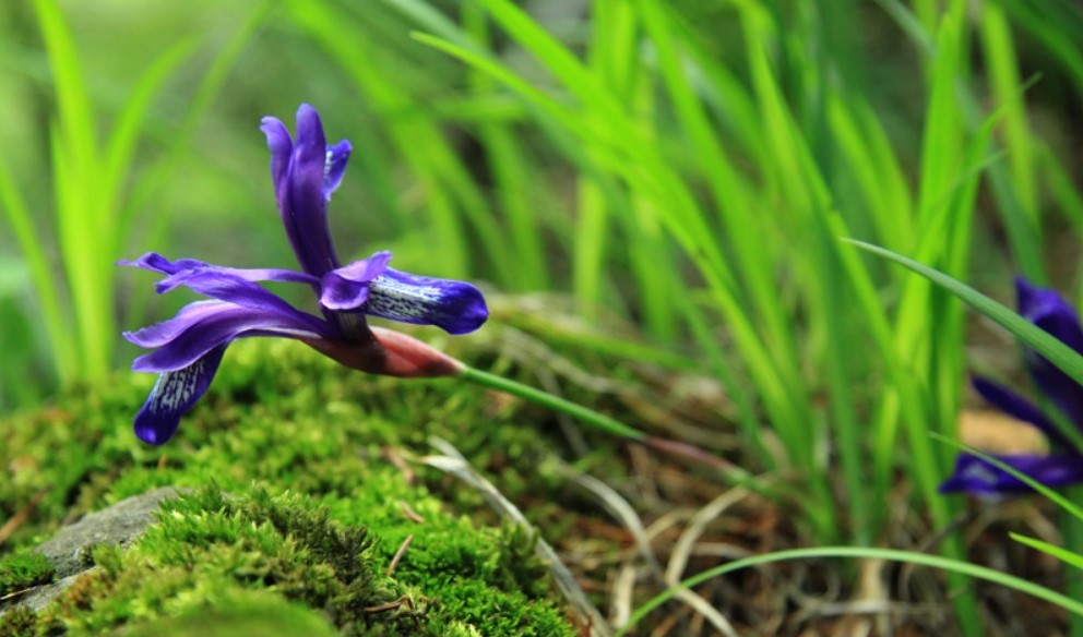 A wonder of nature and an unforgettable adventure in Neamț County – fotografia 20