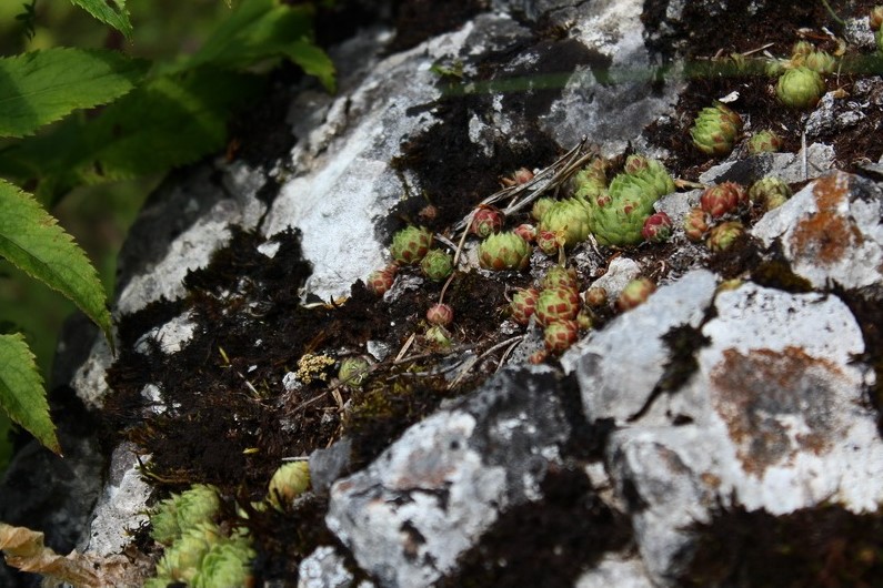 A wonder of nature and an unforgettable adventure in Neamț County – fotografia 24