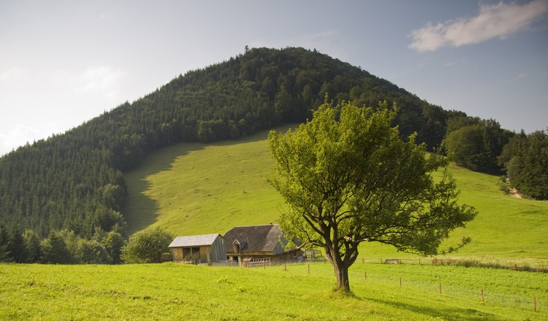 Horaicioara hermitage - Neamt County