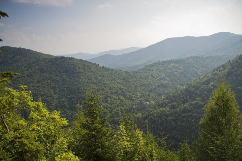Horaicioara hermitage - Neamt County