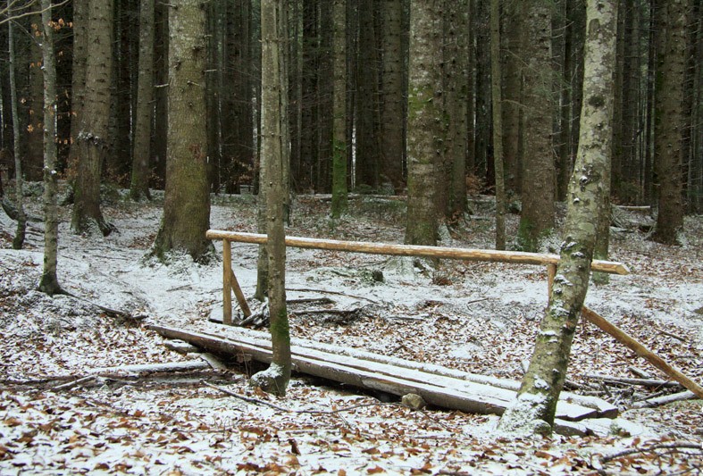 Trekking Route to Ceahlau Mountain - Lutu Rosu