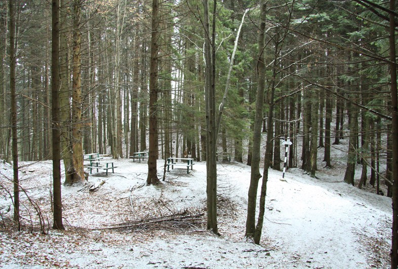 Trekking Route to Ceahlau Mountain - Lutu Rosu